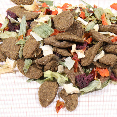 JBL ProTerra Vegabil - основна храна за всички видове сухоземни костенурки с изсушени зеленчуци и растителен екструдат 250 мл