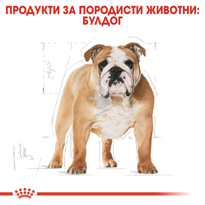 2b65bd0759f26b08ed1a2a0057cf1dc5.jpeg