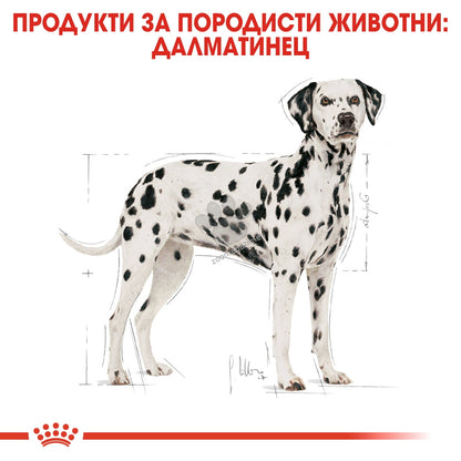 2bdd8179846f732d5f1abf8692fb0912.jpeg
