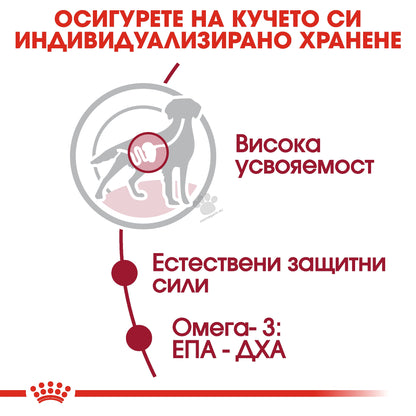 2d180a7a25d34d1e072d66614b48fe6d.jpeg