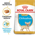 Royal Canin Chihuahua Puppy - за кучета порода чихуахуа на възраст от 1 до 8 месеца