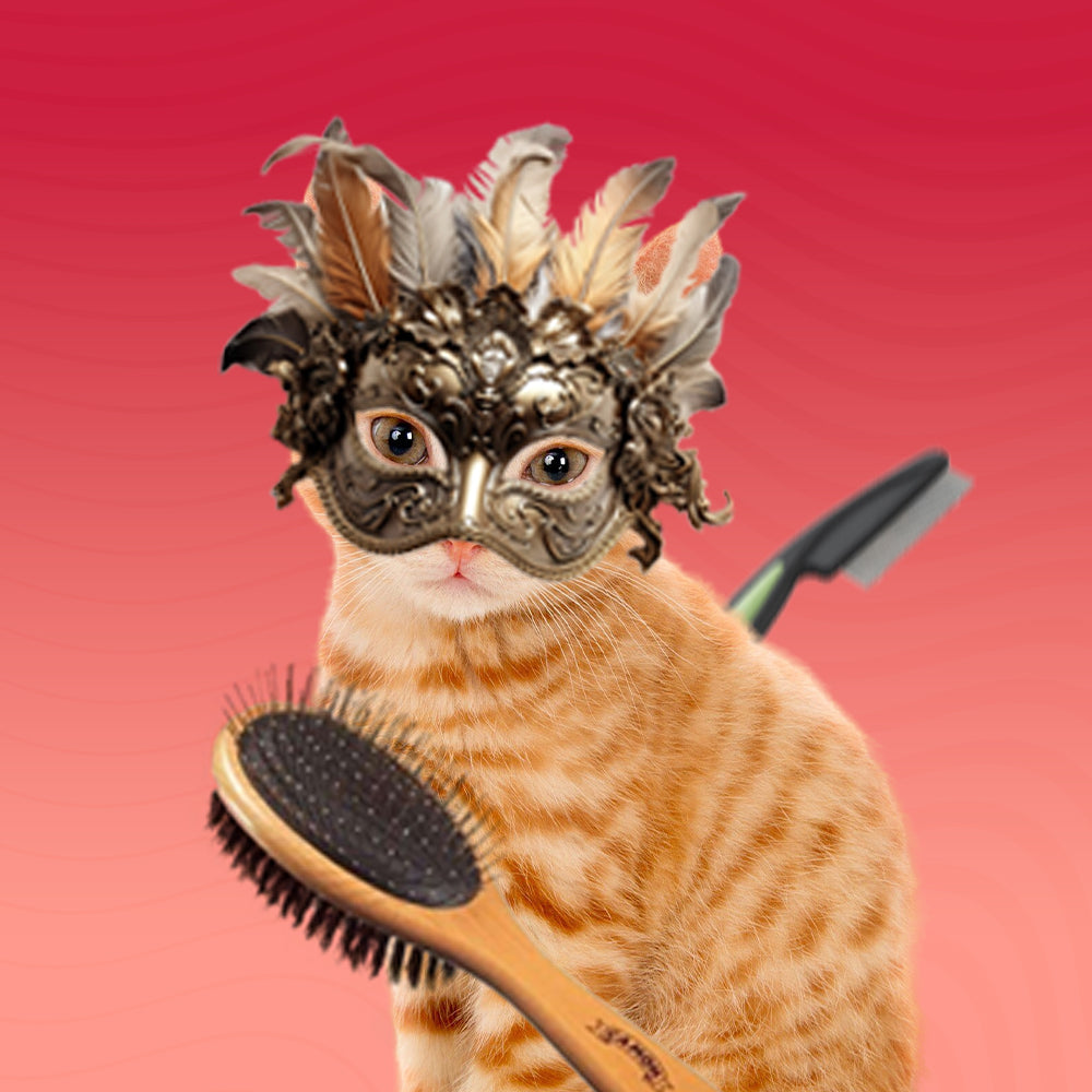 Гребени и четки