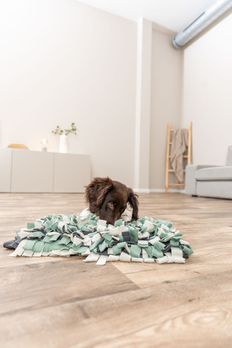 Trixie Sniffle Mat - килимче за лакомства 50 / 34 см