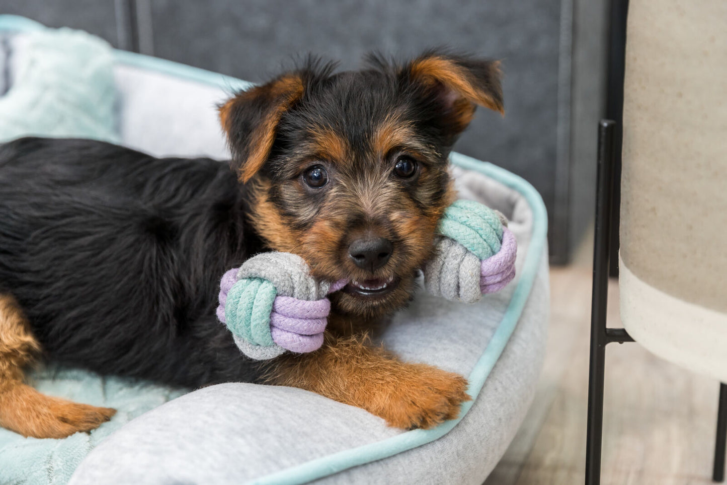 Trixie Junior Rope Dumbbell - въжена гира