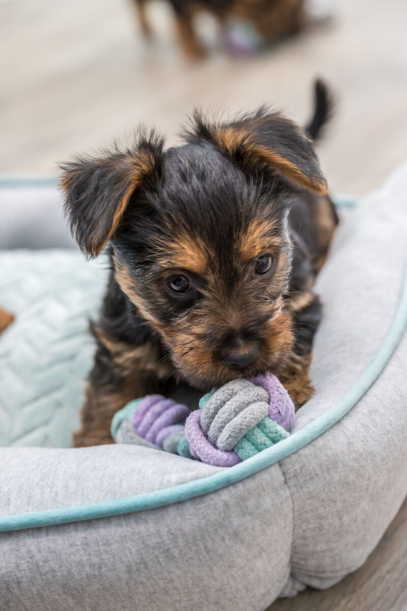 Trixie Junior Rope Dumbbell - въжена гира