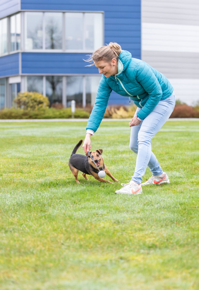 Trixie Ball on a Rope - топка с въже 6 см / 30 см
