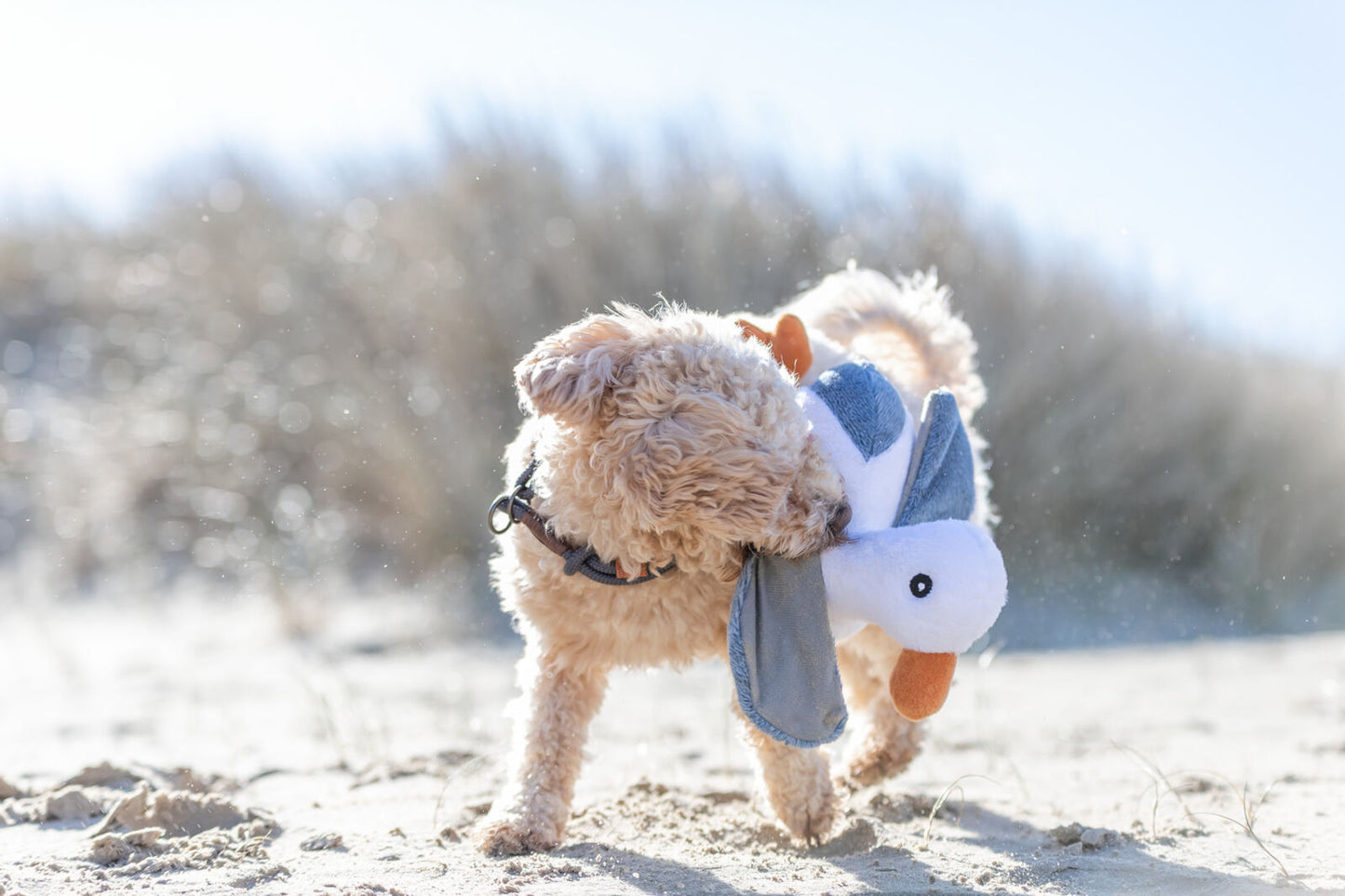 Trixie Be Nordic Seagull Hinnerk - чайка 35 см