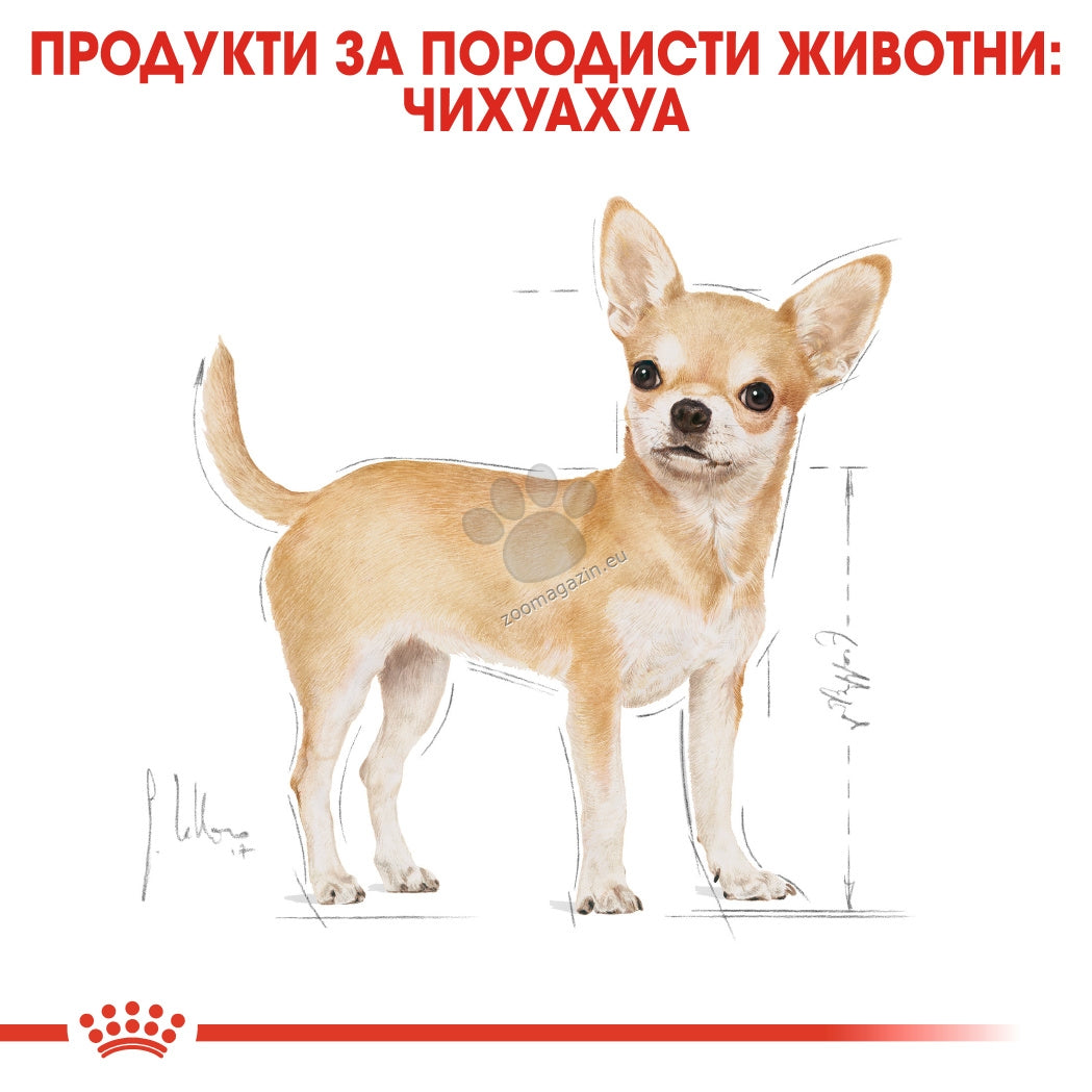 370f3378469fd02072ca98cfcf7fa060.jpeg