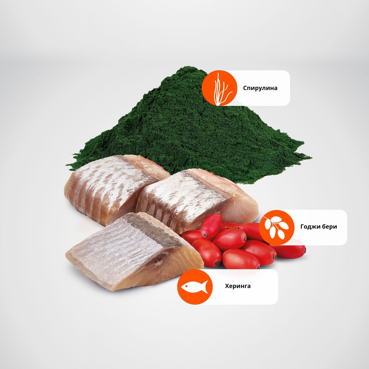 N&D Spirulina Dog Herring & Wolfberry Adult Mini - пълноценна храна със спирулина за кучета над 1г. от дребните породи, с херинга и годжи бери 2кг