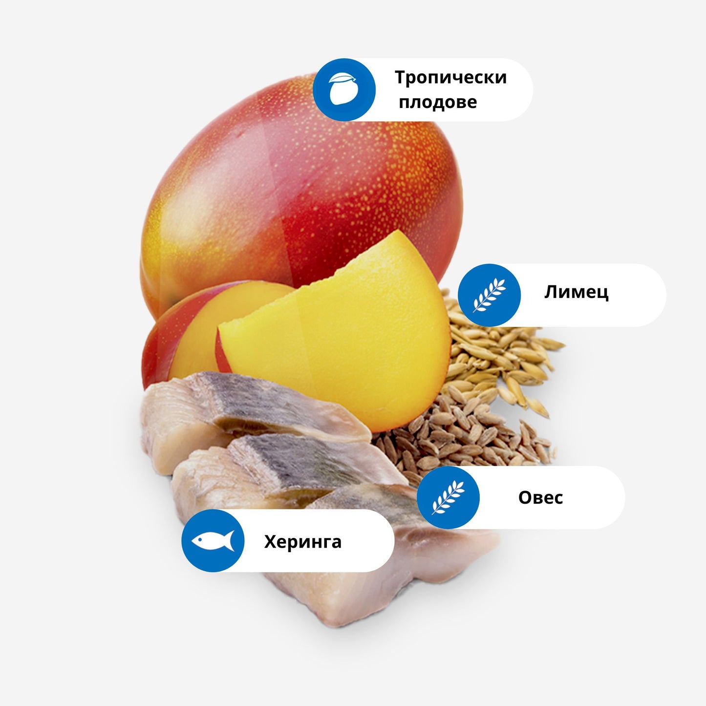 N&D Tropical Adult Mini Herring - суха храна за кучета от малки породи с херинга 1.5 кг