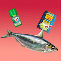 Препарати и добавки за езера