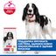 Hills Science Plan Medium Adult – с пилешко, пълноценна храна за кучета от средни породи 10-25 кг, с умерени енергийни нужди, 1 - 6 г