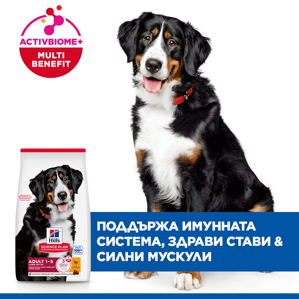 Hills Science Plan Large Breed Adult – с пилешко, пълноценна храна за кучета от едри породи над 25 кг с умерени енергийни нужди, 1 - 6 г