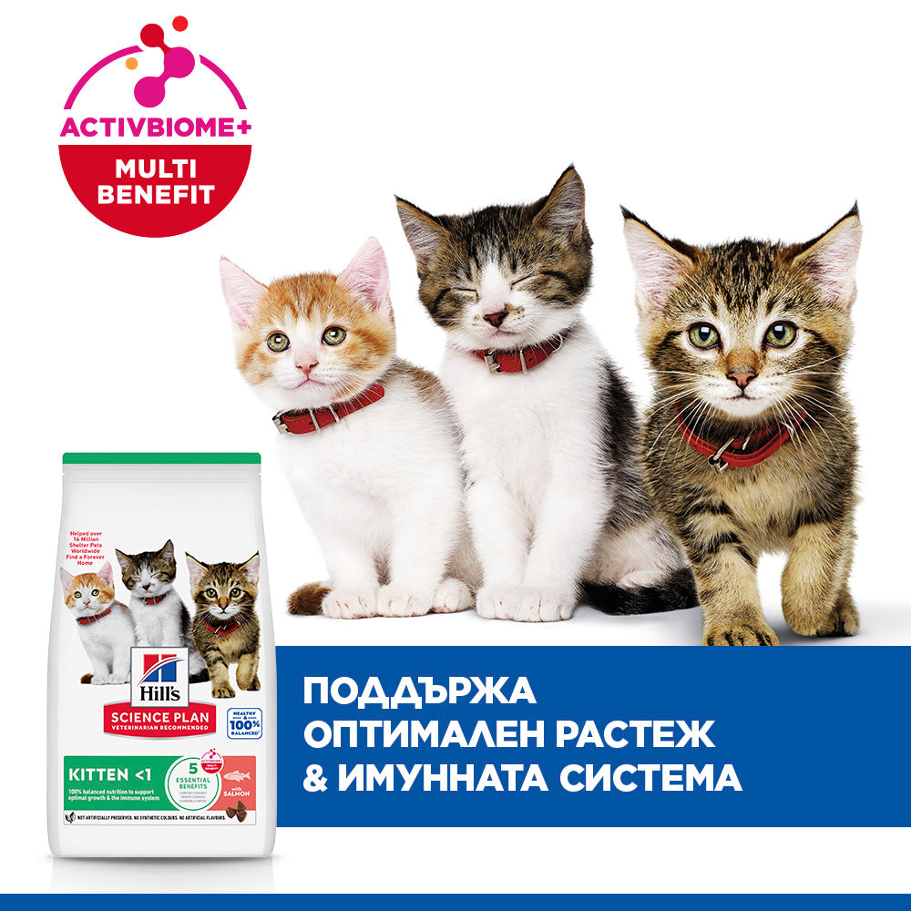 Hills Science Kitten Salmon - суха храна за котнеца със сьомга 1.5 кг