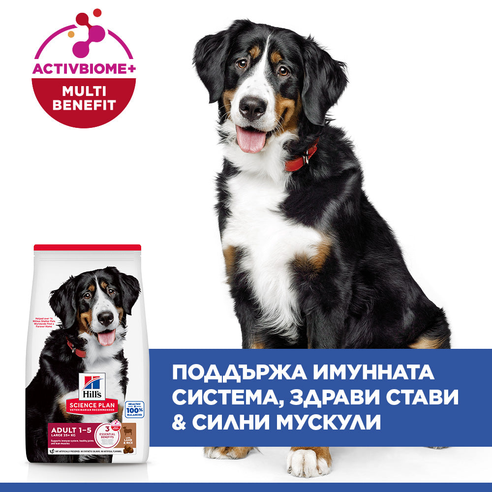 Hills Science Plan Large Breed Adult – с агнешко, пълноценна храна за кучета от едри породи над 25 кг с умерени енергийни нужди, 1 - 6 г. 11+3 кг.