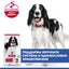 Hills Science Plan Canine Medium Adult - с агнешко, пълноценна суха храна за кучета от средни породи с умерени енергийни нужди, 1-7 г
