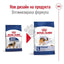 Royal Canin Maxi Adult - пълноценна храна за възрастни кучета от големи породи 12 кг