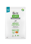 Brit Care Dog Grain-free Adult Large Breed - пълноценна храна за кучета от големи породи със сьомга