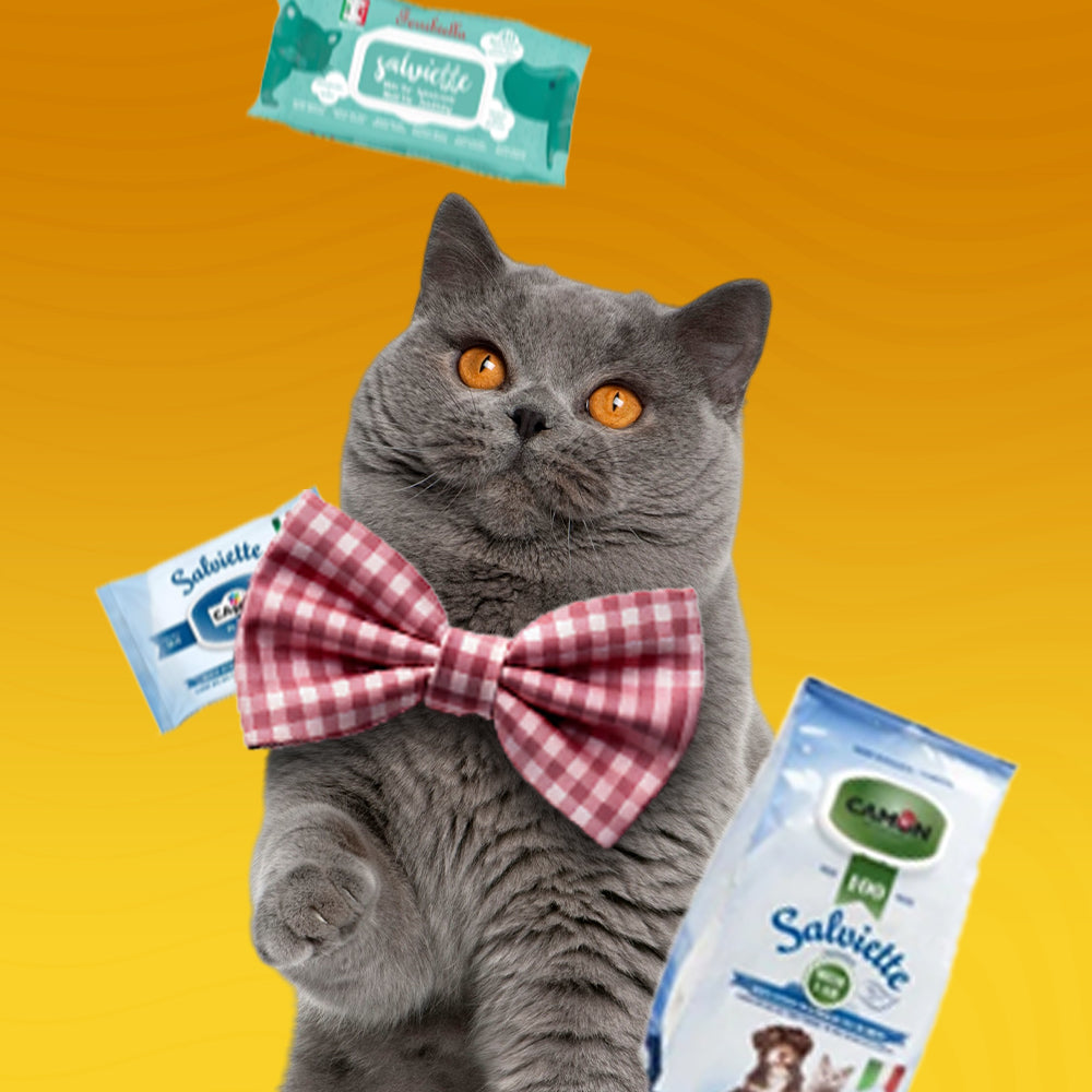 Мокри кърпи