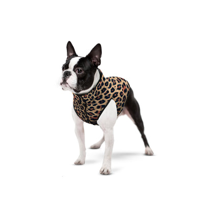WAUDOG Clothes Dog Jacket Leopard XS25 - яке за кучета 23-25 см