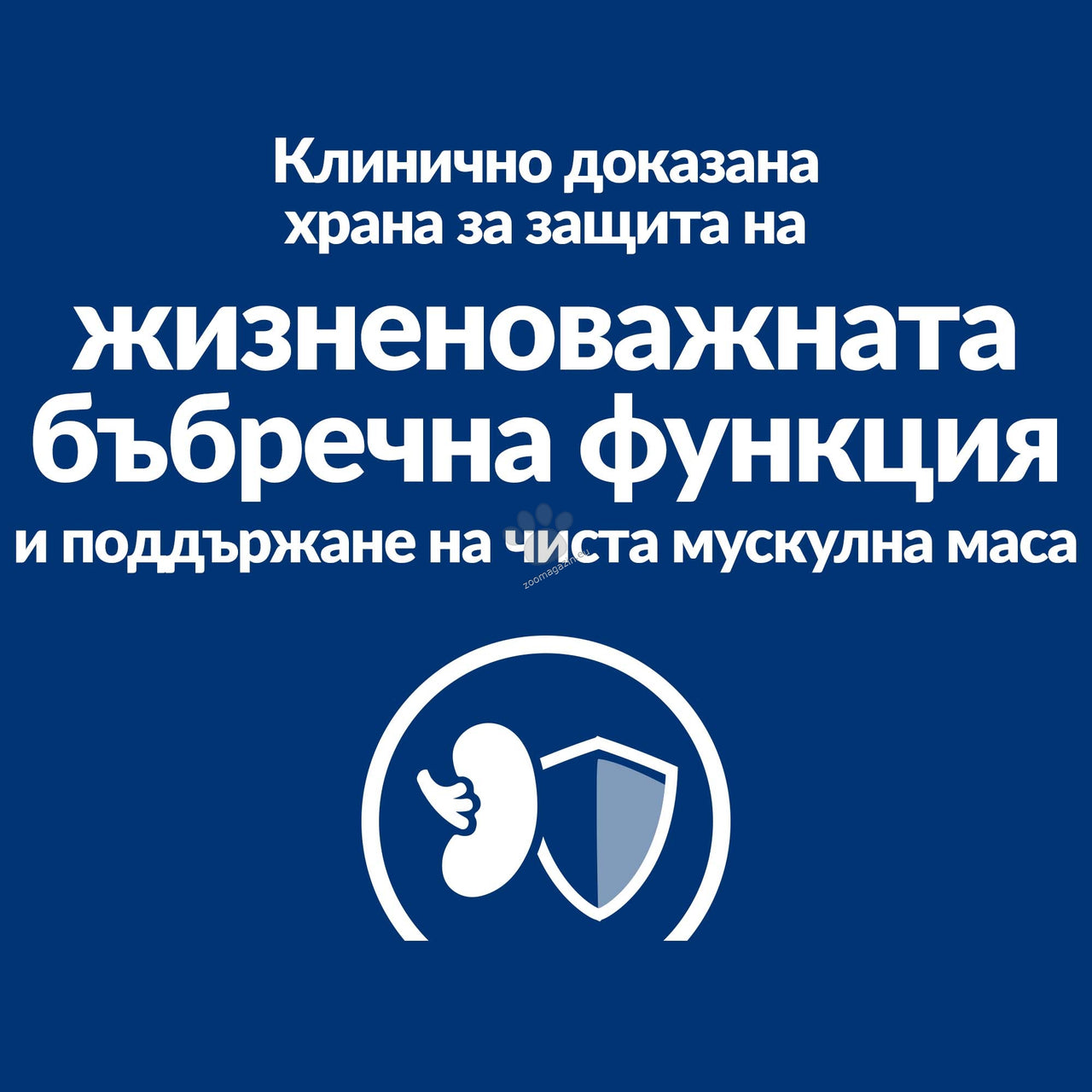 40c8dba537db0829fff2a2260e859967.jpeg