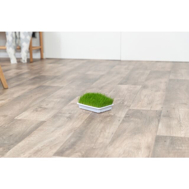 Trixie Soft Grass - котешка трева / мека / 100 гр