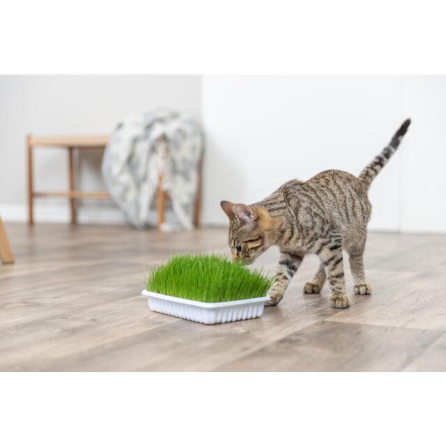 Trixie Soft Grass - котешка трева / мека / 100 гр