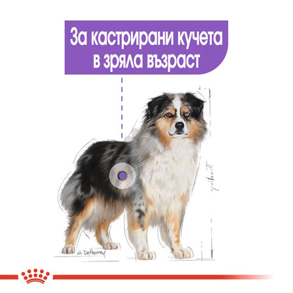 42cdaefe515da17fa0d718b4c94a1f0e.jpeg
