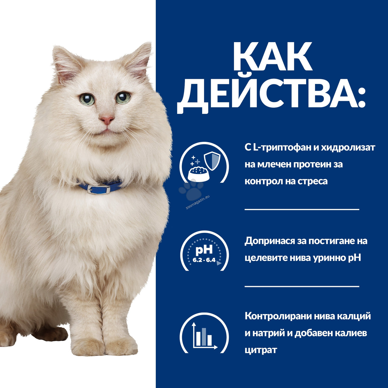 45c1f7a6a8c3ca59fa8c34f753b1076a.jpeg