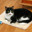 Enjoy Cat Scratching Mat Sneezy - подложка за драскане 48 / 31 см, сив