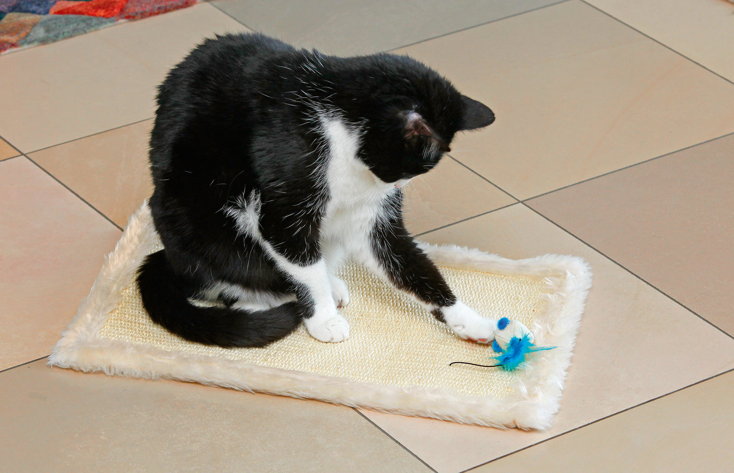 Enjoy Cat Scratching Mat Sneezy - подложка за драскане 48 / 31 см, сив