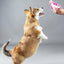 Flamingo Puppy Boban Frisbee Puppy With Rope Multiple Colours - плюшена играчка 17 см.