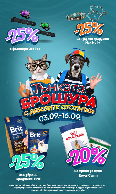Promo banner