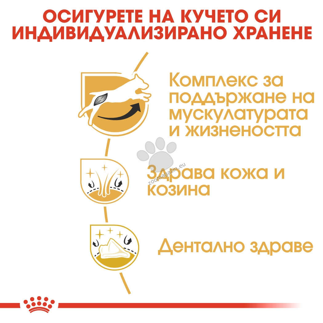 480fb182af946a741579c6eb376d79ab.jpeg