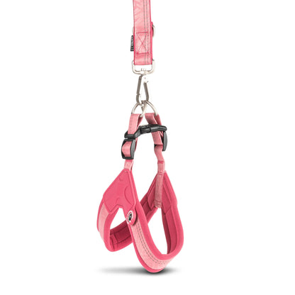 Max Molly Q-Fit Harness Matrix Rose - нагръдник за кучета