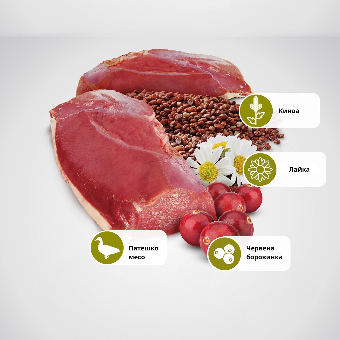 N&D Cat Quinoa Urinary - за намаляване на повторната поява на струвити камъни и заболявания на долните пикочни пътища 80 гр.