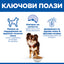 Hills Science Plan Light Small&Mini - пълноценна суха храна с пилешко за по-слабо активни кучета в зряла възраст от малките породи 1,5 кг
