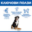 Hills Science Plan Large Breed Adult – с пилешко, пълноценна храна за кучета от едри породи над 25 кг с умерени енергийни нужди, 1 - 6 г