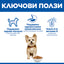 Hills Science Plan Small and Mini Adult Chicken - суха храна за кучета с пилешко 3 кг