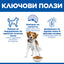 Hills Science Plan Canine Adult Light – с пилешко, пълноценна суха храна за кучета от дребни и средни породи, склонни към наднормено тегло, на възраст над 1г. 12+2 кг.