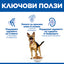 Hills Science Plan Canine Mature Adult Large Breed – с пилешко, пълноценна суха храна за кучета от едри и гигантски породи в напреднала възраст (над 25 кг, над 5г.) 12+2 кг.