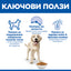 Hills Science Plan Canine Adult Light Lаrge Breed - с пилешко, пълноценна суха храна за кучета от едри породи над 25кг, с понижени енергийни нужди, на възраст от 1 до 5 години 12+2 кг.