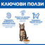 Hills Science Plan Adult - с агнешко месо, за котки от 1 до 6 години