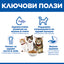 Hills Science Kitten Salmon - суха храна за котнеца със сьомга 1.5 кг