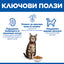 Hills Science Adult Cat Salmon - суха храна за котки със сьомга