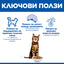 Hills Science Plan Light Adult - с пилешко месо, за котки над 1 година, склонни към натрупване на наднормено тегло