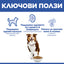 Hills Science Plan Canine Mature Medium Adult - с агнешко, пълноценна суха храна за кучета от средни породи в напреднала възраст (11-25 кг, над 7г.) 11+3кг.