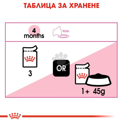 4d4c80f16553cc48598bdfdd88d87694.jpeg