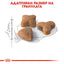 РАЗПРОДАЖБА Royal Canin Sensible 33 - за котки с чувствителна храносмилателна система 10 + 2 кг.