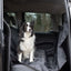 Flamingo Car seat cover Coda Back seat Black - покривало за кола 214 / 147 / 0.1 см